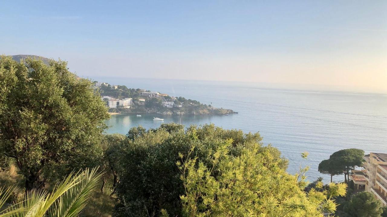 Velazquez 116 Villa Roses Dış mekan fotoğraf